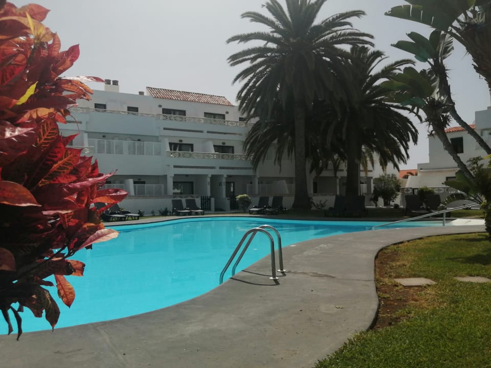 Pool Apartments Los Rosales