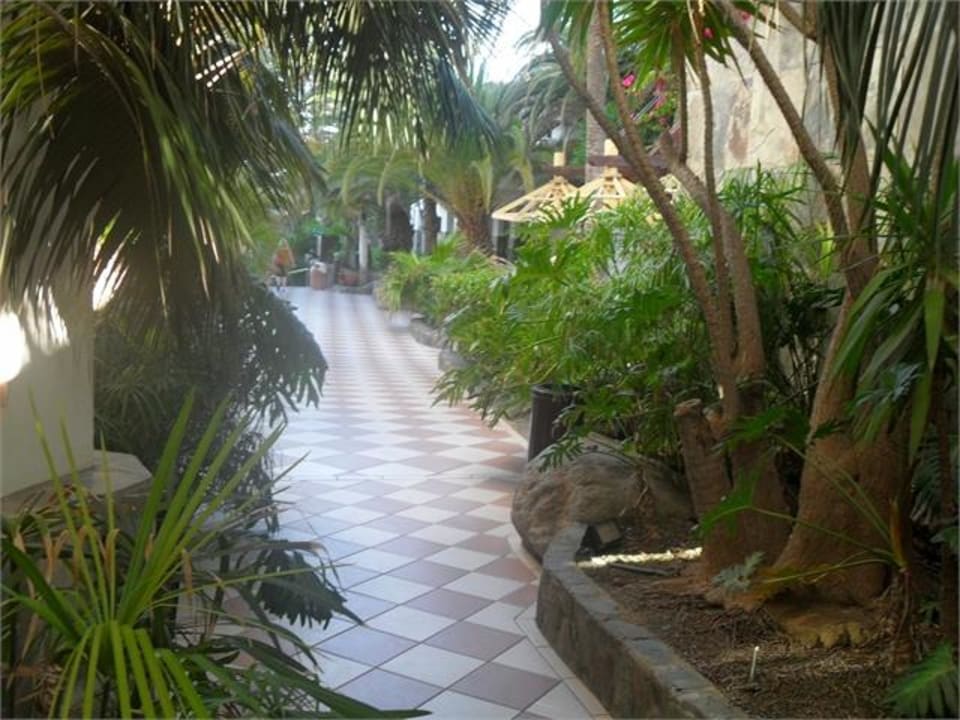 Aussicht von der Lobby/Eingang Corallium Beach by Lopesan Hotels - Adults only