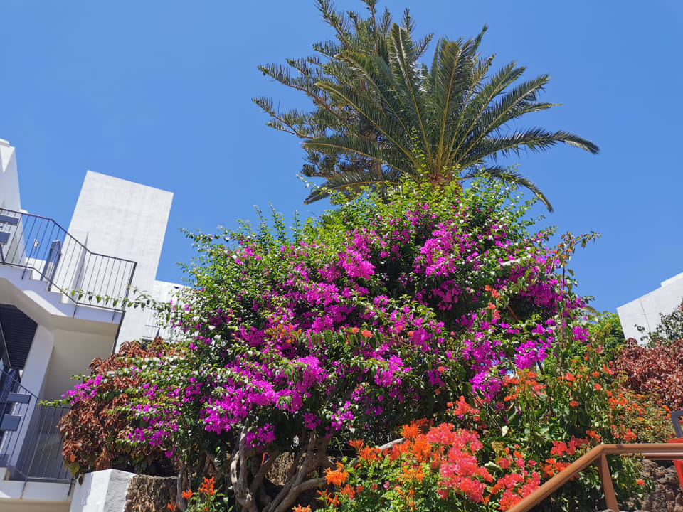 Gartenanlage Sol Fuerteventura Jandia - All Suites