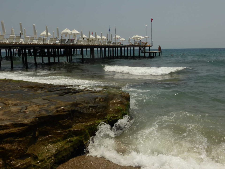 Molo Dizalya Palm Garden