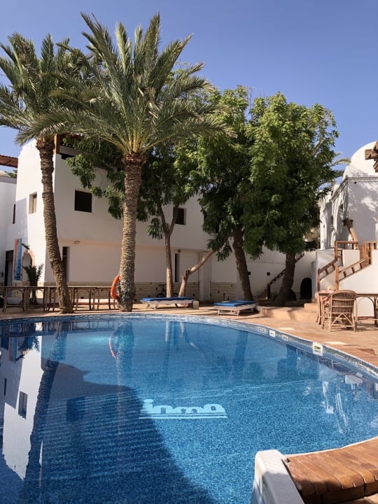 Pool Hotel Inmo Divers Home
