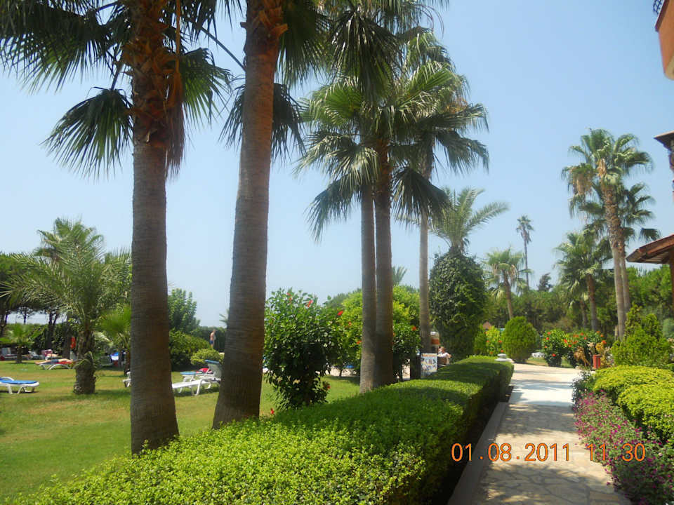 Alles top Club Turtas Beach Hotel