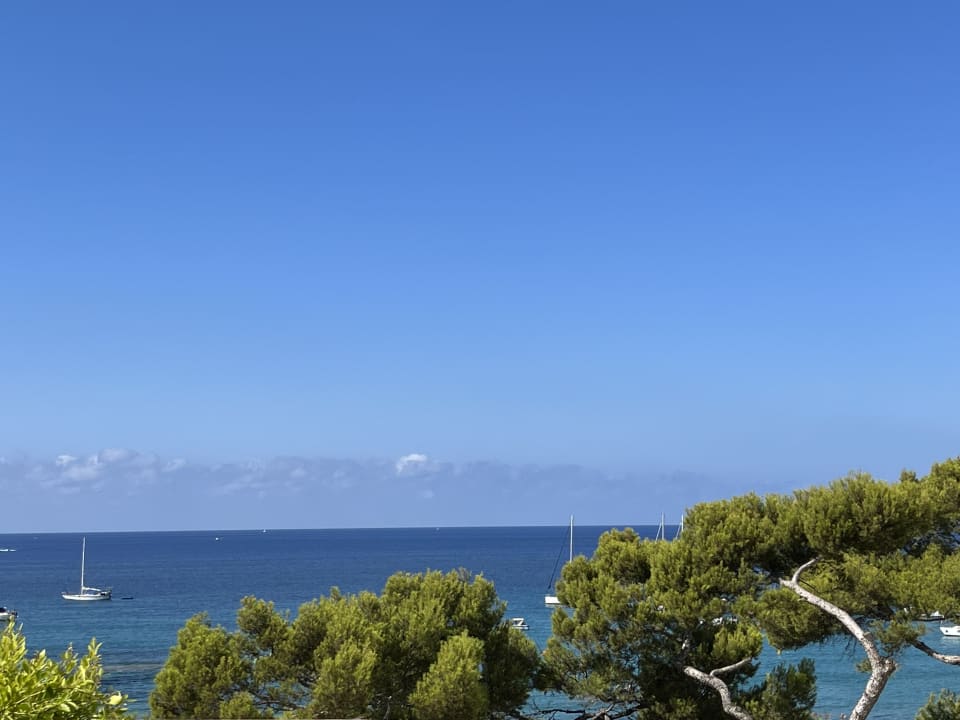 Ausblick Universal Hotel Lido Park & Spa