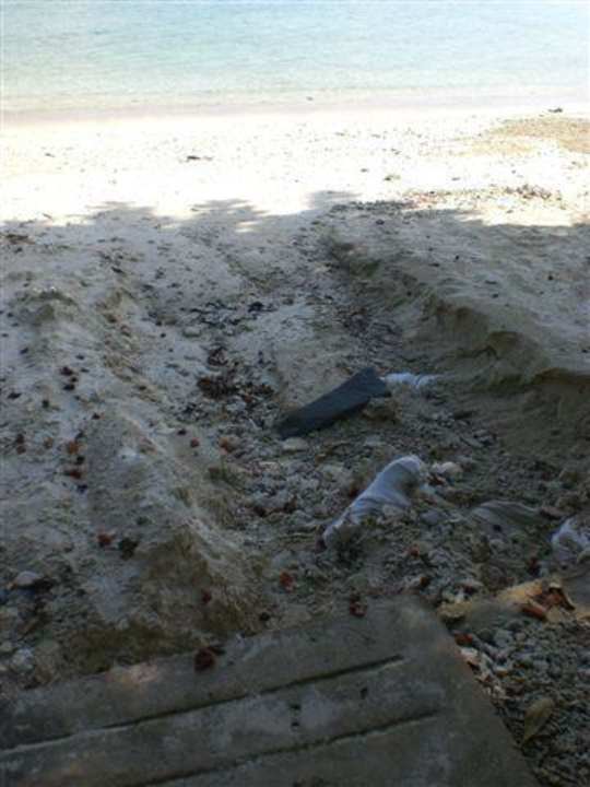 Strand D'coconut Island Resort