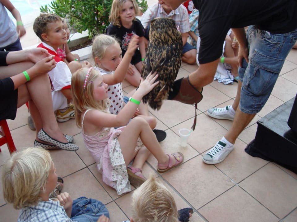 Abendveranstaltung Barceló Portinatx - Adults only