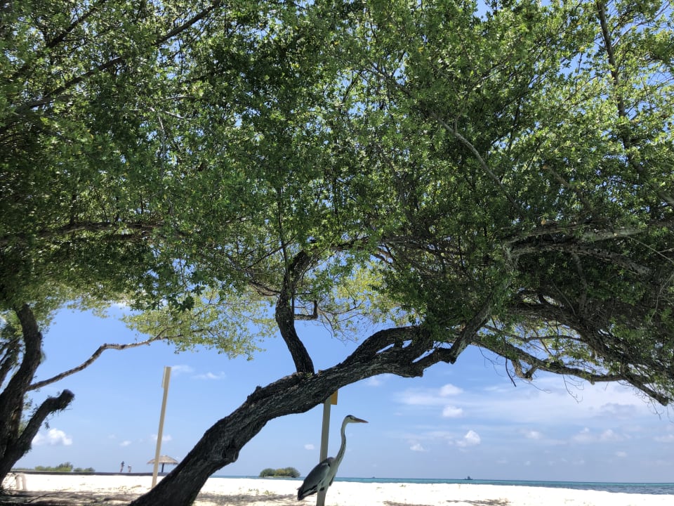 Ausblick Adaaran Select Hudhuran Fushi - Premium All Inclusive