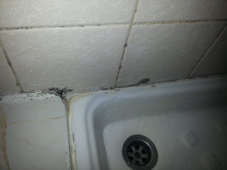 Schimmel überall Atlantis Hotel