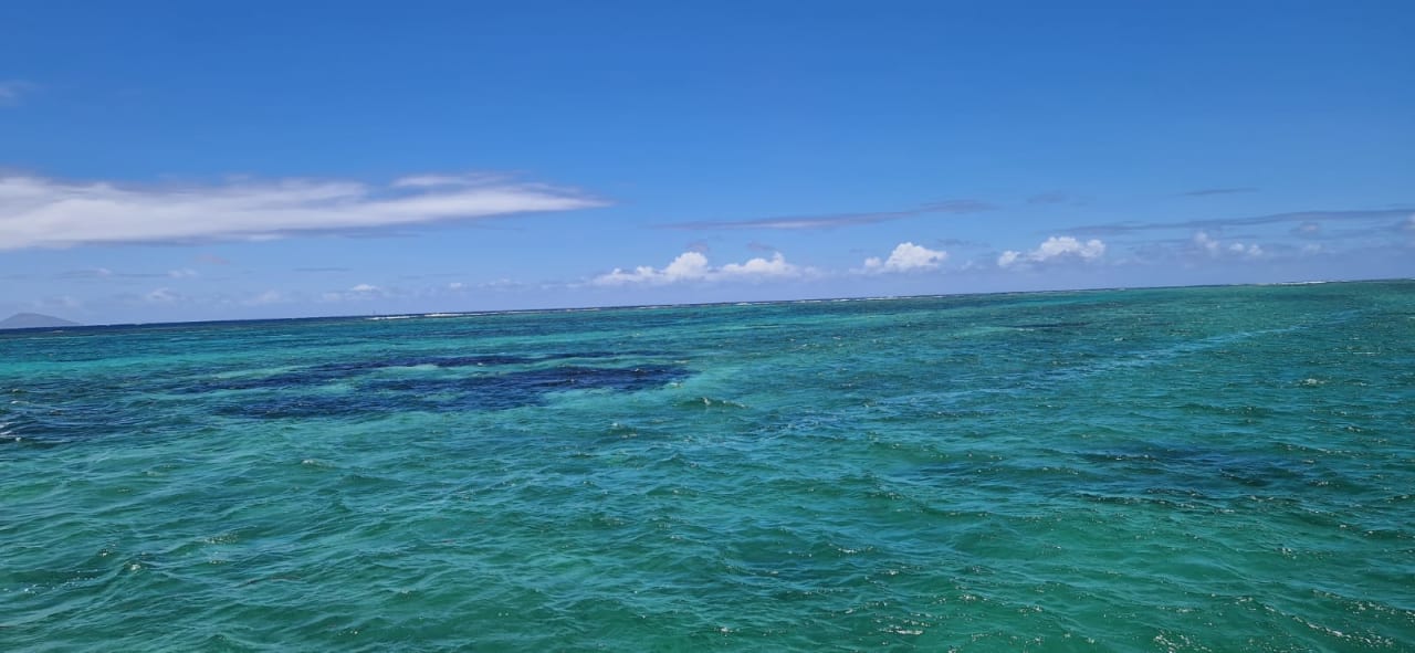 Ausblick Lagoon Attitude - Adults only