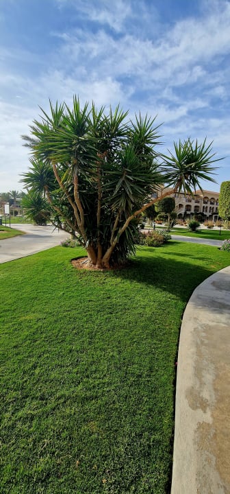 Gartenanlage JAZ Aquamarine Resort