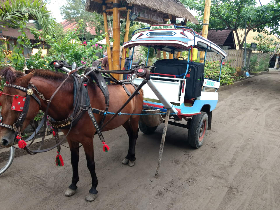 Sonstiges Bambu Cottages