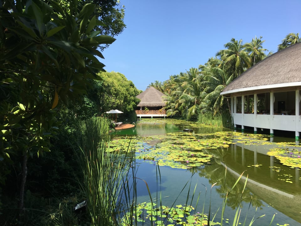 Gartenanlage Dreamland The Unique Sea & Lake Resort / Spa