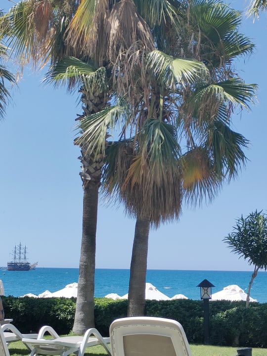 Ausblick Side Star Beach
