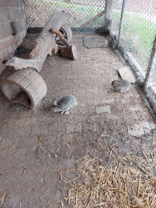 Sonstiges Ferienhof Dingeldey