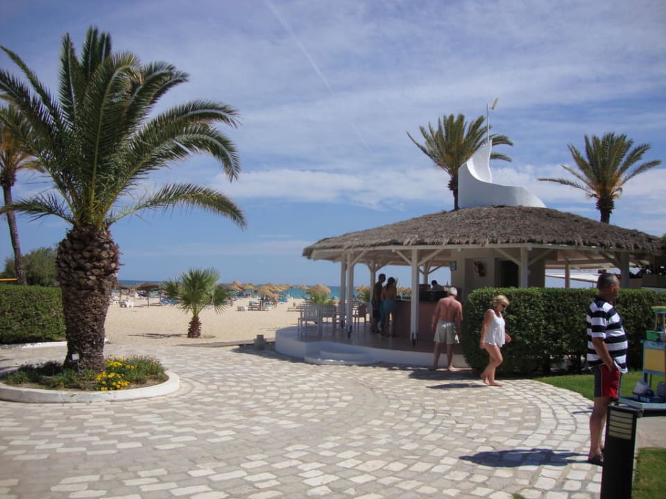 Bar et la plage Sentido Phenicia