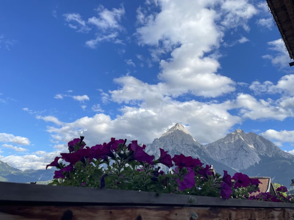 Ausblick Schäfflers Ferienwohnungen