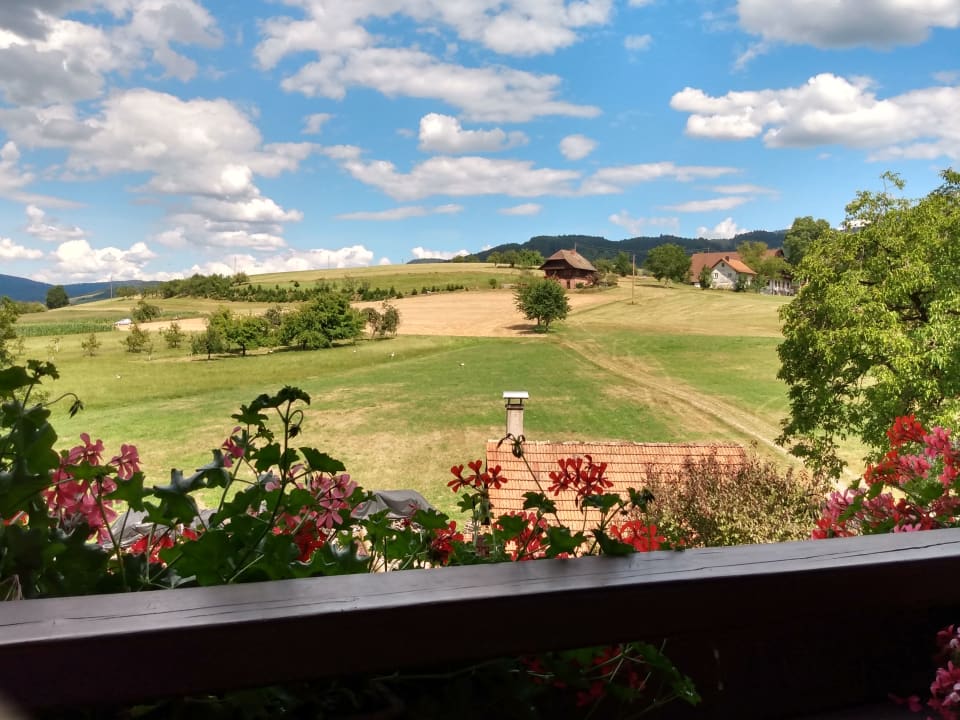 Ausblick Ferienwohnungen Hugeseppehof