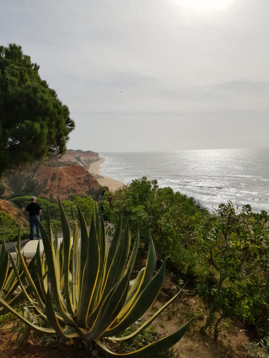 Ausblick PortoBay Falésia