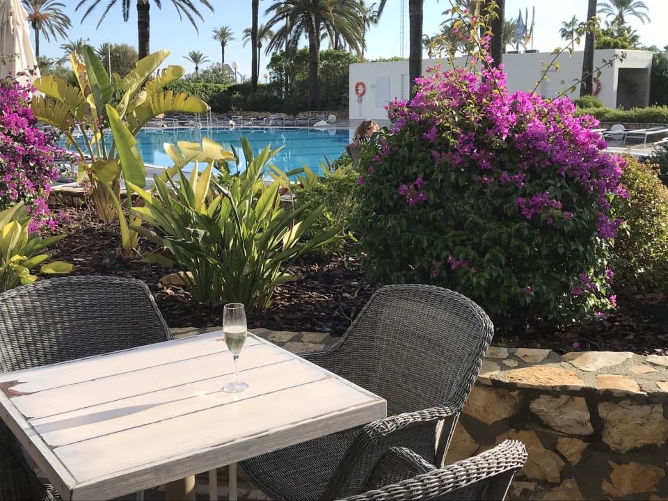 Gartenanlage allsun Hotel Bahia del Este