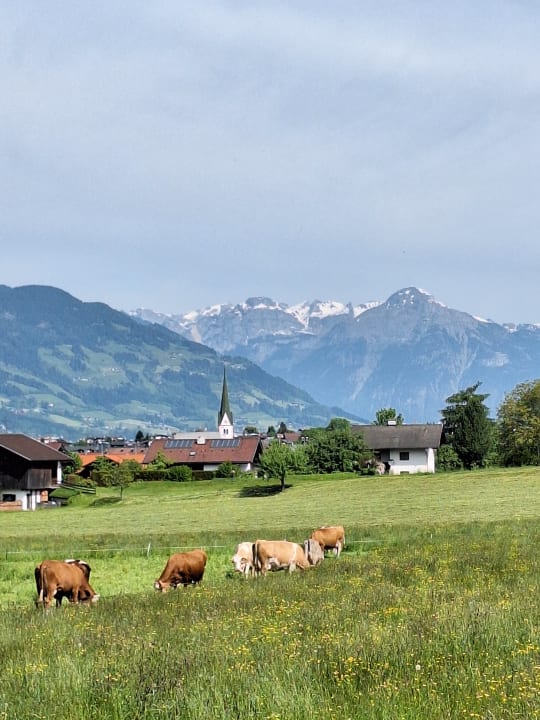 Ausblick Natur Resort Rissbacher