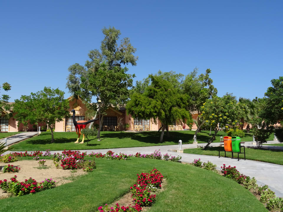 Gartenanlage Pickalbatros Jungle Aqua Park Resort - Neverland Hurghada