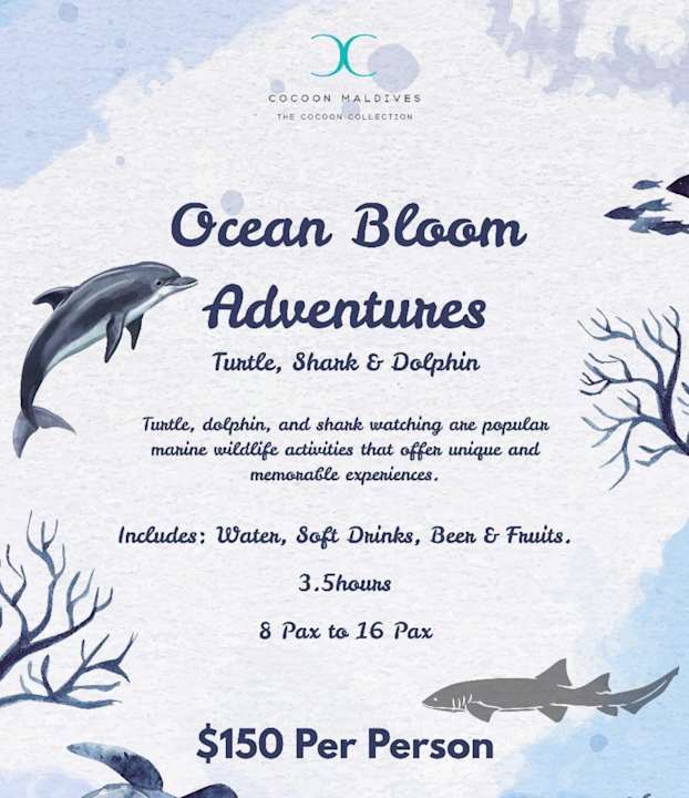 Sport & Freizeit Cocoon Maldives