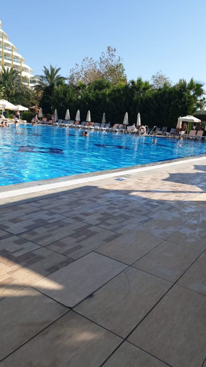 Pool Hotel Delphin Imperial