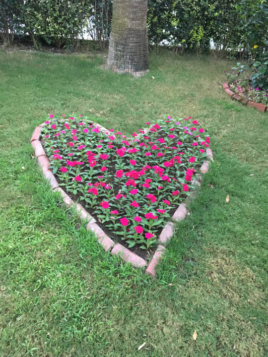 Gartenanlage Belek Beach Resort Hotel