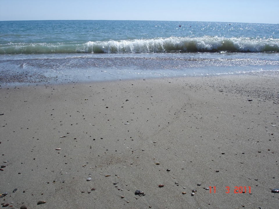 Hotel Royal Wings Royal Wings Hotel