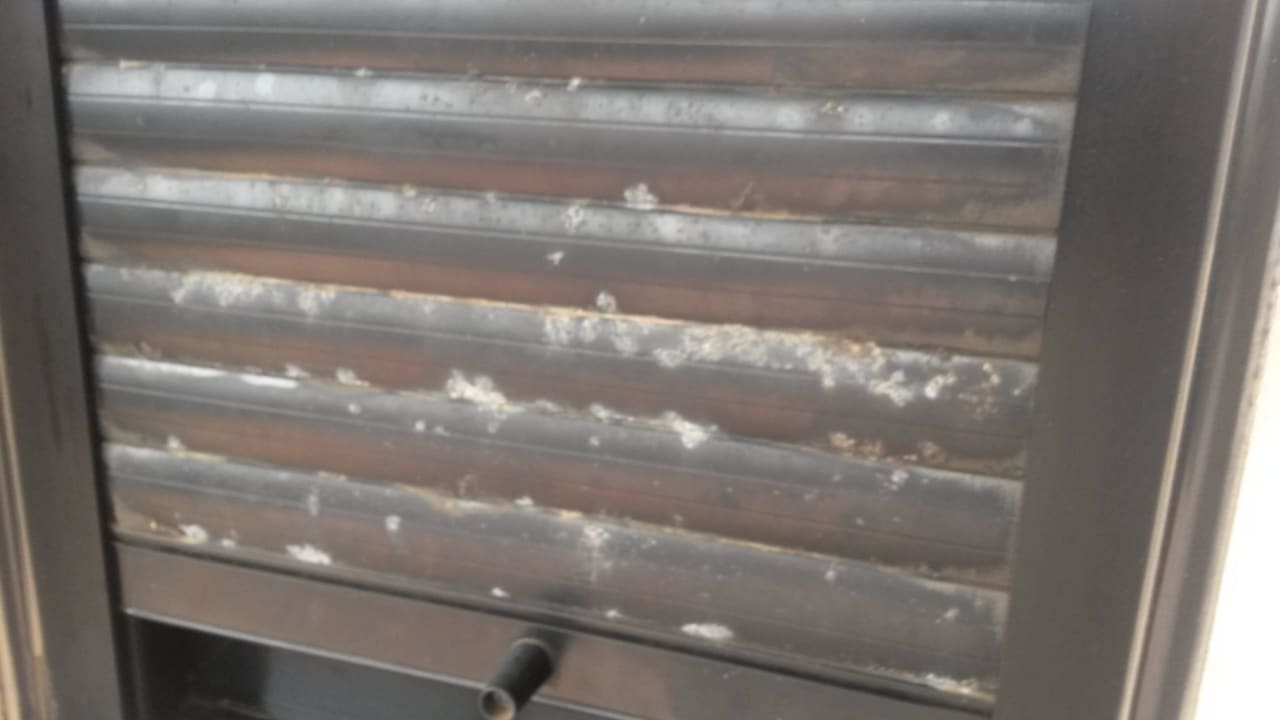 Pollos Pierre & Vacances Fuerteventura Origo Mare Resort