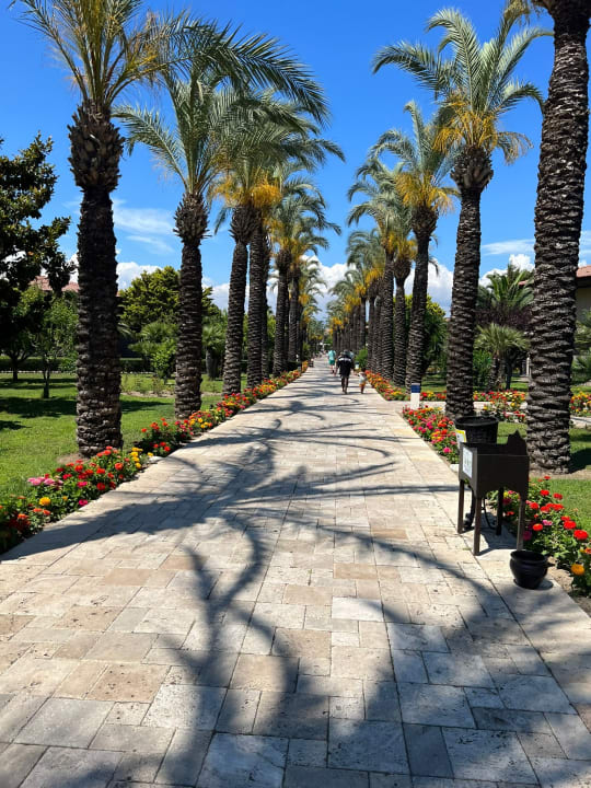 Außenansicht TUI BLUE Palm Garden