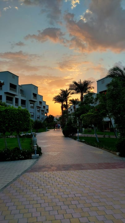 Gartenanlage Jaz Soma Beach