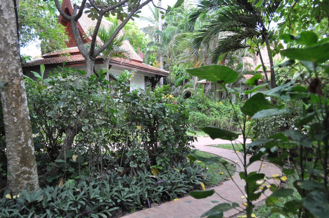 Tropisch Anavana Beach Resort