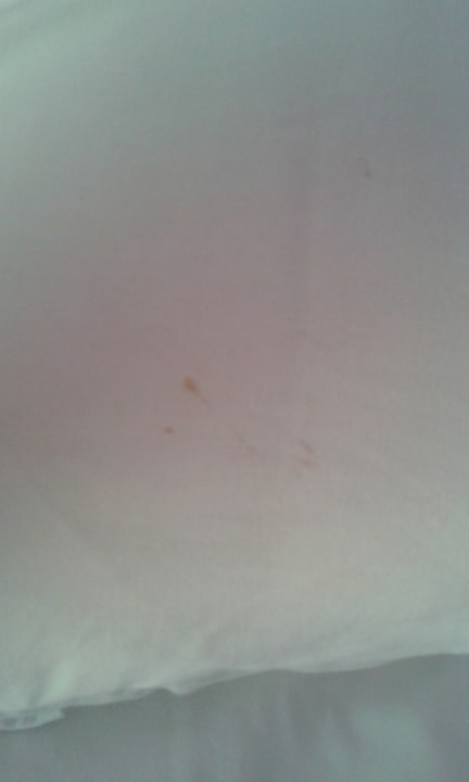 Zimmer Flora Garden Beach Hotel ( 16+ Adults Only )