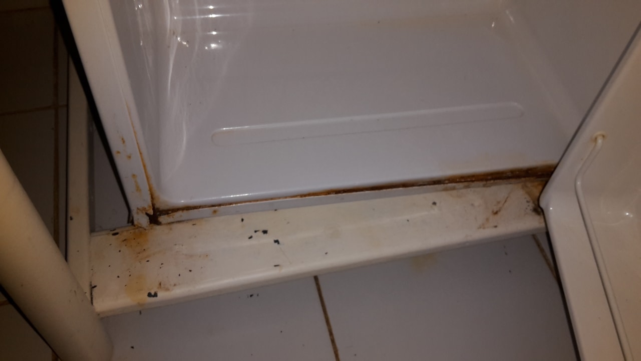 Zimmer Hotel Brisas del Caribe