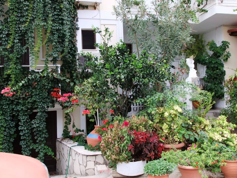 Liebevoll gepflegte Blumenpracht Hotel Pigi