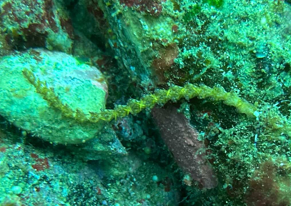 Sport & Freizeit Sali Bay Resort