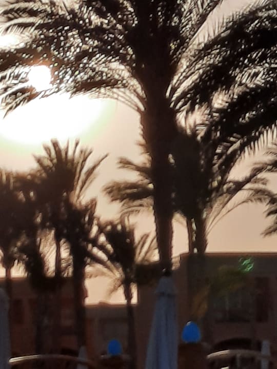 Ausblick Jaz Grand Marsa