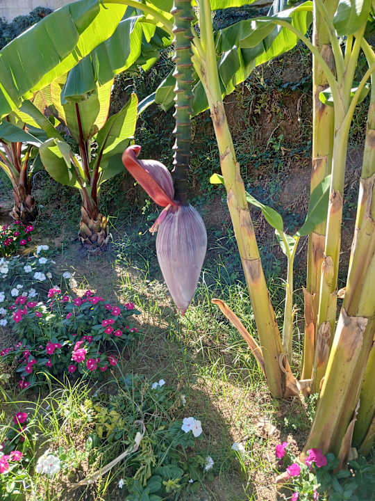 Sonstiges Borgo Donna Canfora