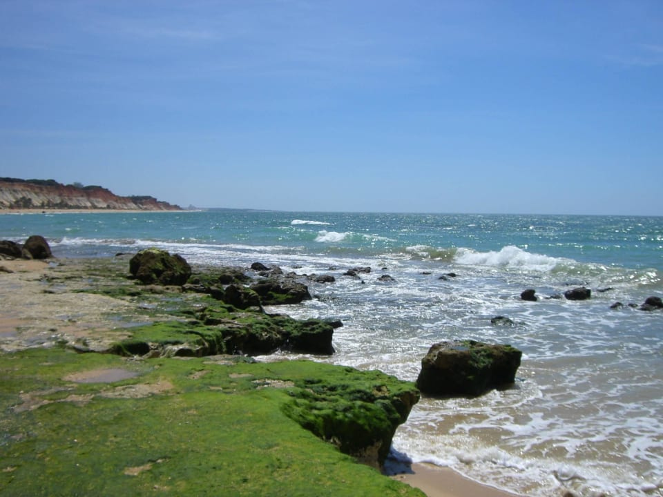 Bei Ebbe von kleinen Strand zum großen PortoBay Falésia