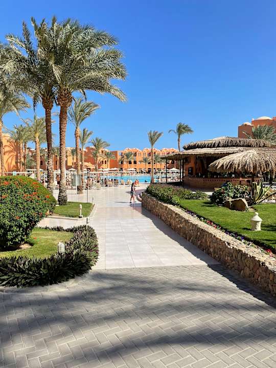 Pool Jaz Makadi Oasis Resort