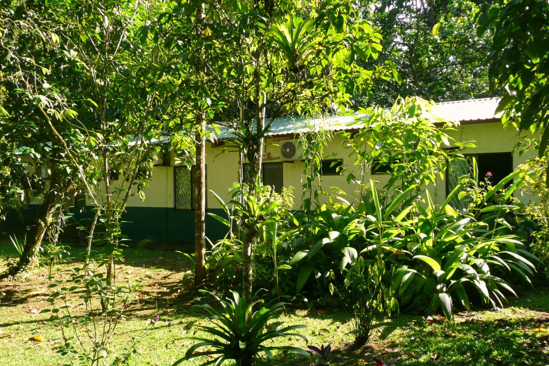 Gartenanlage Tirimbina Lodge