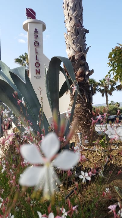 Außenansicht Apollon Hotel