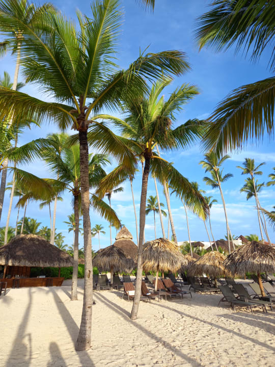 Strand Dreams Royal Beach Punta Cana
