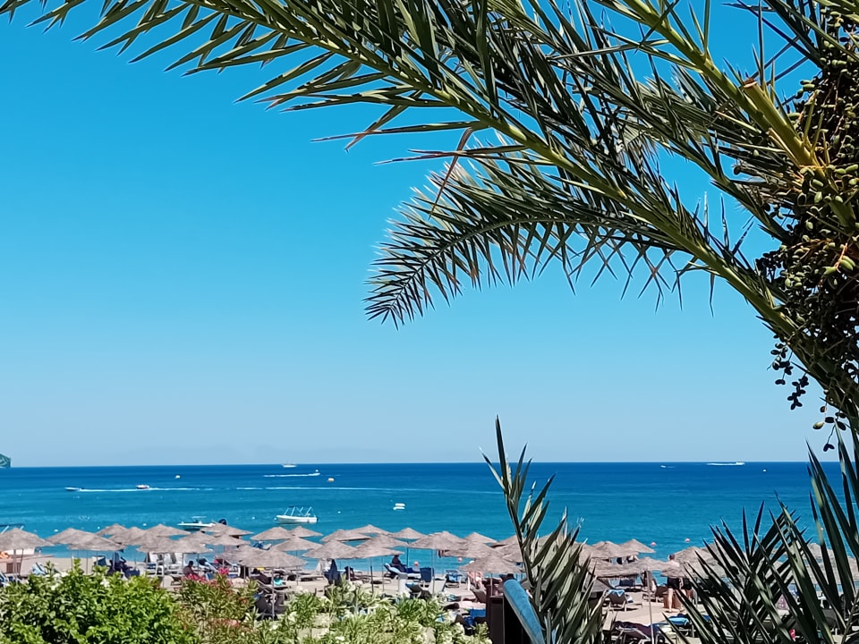 Gartenanlage Hotel Calypso Beach