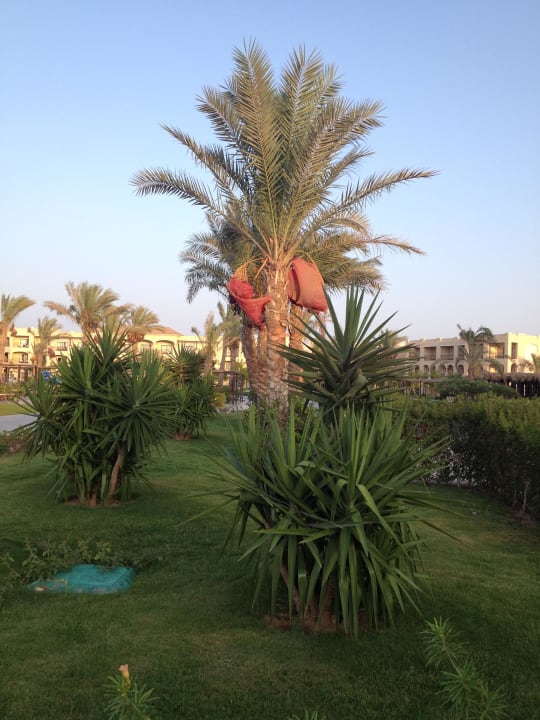 Garten JAZ Aquamarine Resort