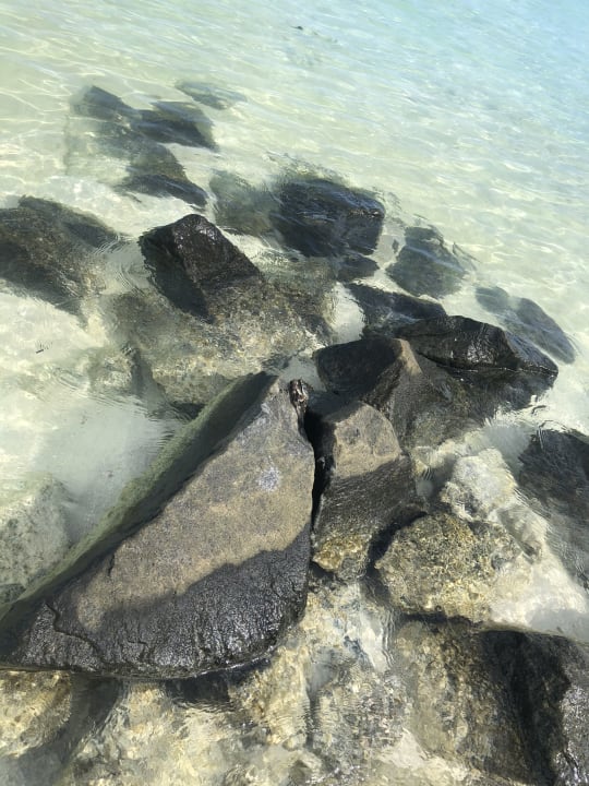 Strand Summer Island Maldives