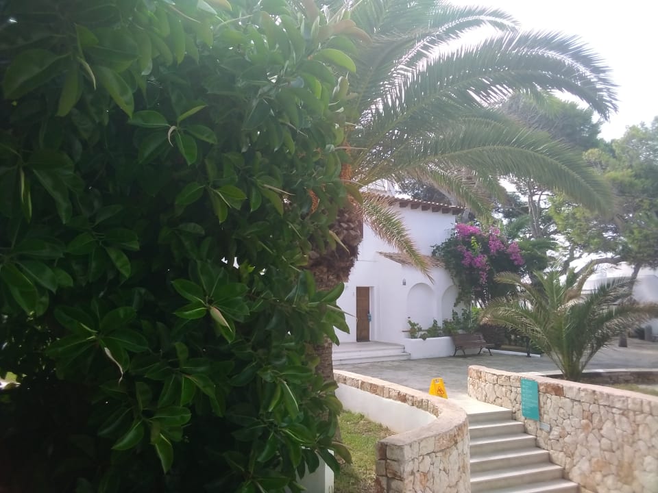 Ausblick Alua Suites Las Rocas