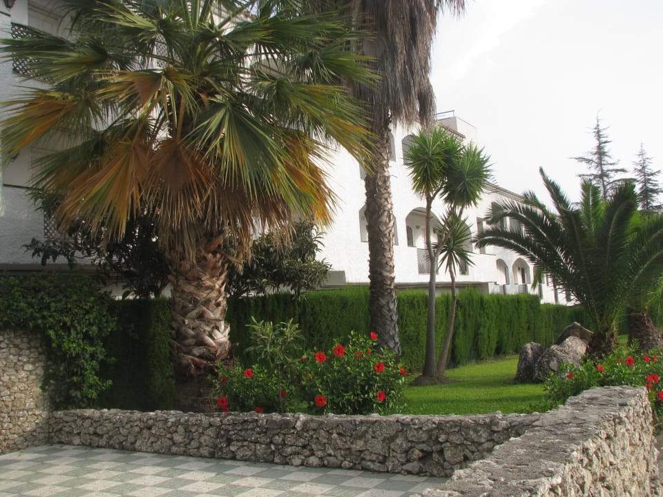 Przy recepcji Apartamentos Verano Azul