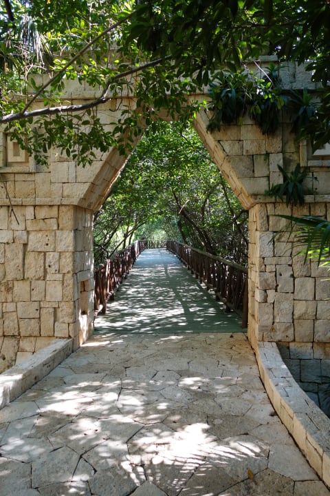 Gartenanlage Catalonia Royal Tulum Beach & Spa Resort - Adults only