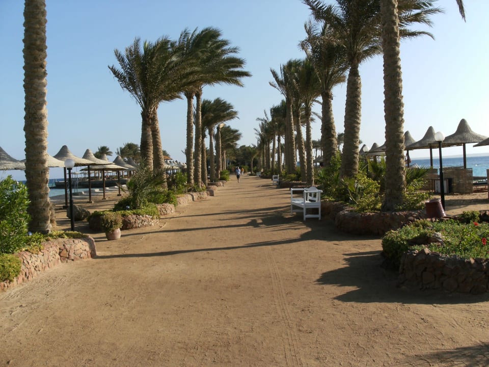 Zugang zur Marina Arabia Azur Resort
